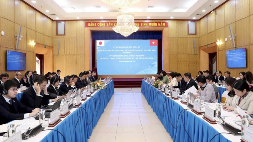 Vietnam - Japan Joint Initiative undergoes mid-term review